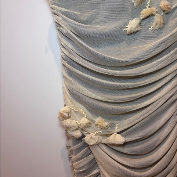 *Zara 3D Floral Tulle Cream Ruched Dress size XS NWT - Picture 5 of 7